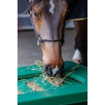 Parallax Hay Saver / Horse Hay Slow Feeder - Standard Grill Version